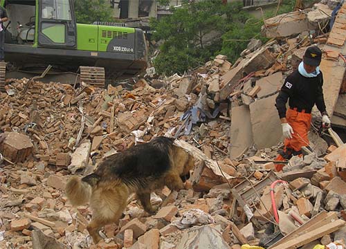 쓰촨성 대지진 당시 파견된 중앙119구조단, 출처: 소방재난본부