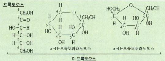 프룩토오스 분자식 . 출처: 과학창의재단