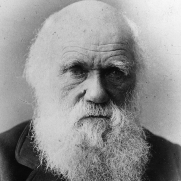 찰스 다윈   출처 - bio.com