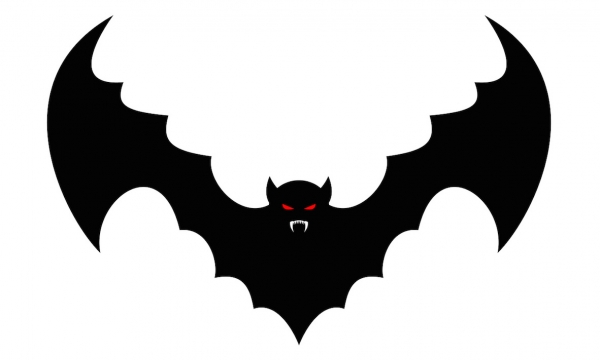 박쥐가 어디사는지에 따라 종간 감염도 다르게 일어납니다. 출처 : 포토리아