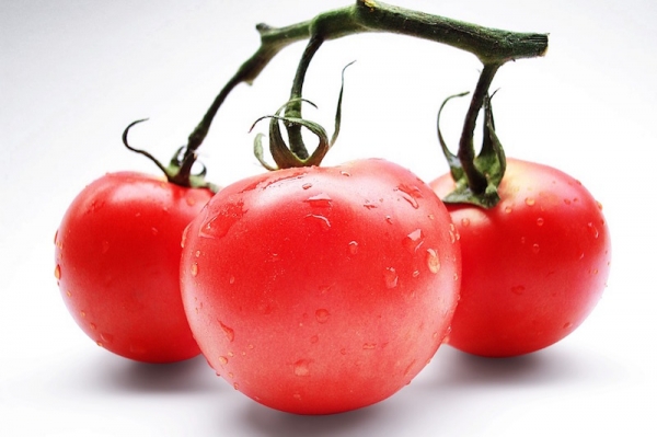 누구든 토마토를 건들면 망하는 거예요. 출처: pixabay<br>