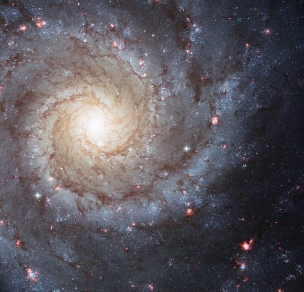 은하에 대한 연구. 출처: NASA