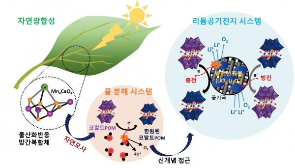 자연광합성을 모사한 리튬공기전지용 고효율 촉매기술개발 모식도. 출처:한국연구재단