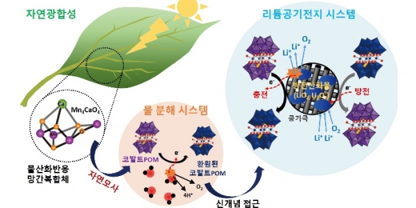 광합성 모사 리튬공기전지 출처: 한국연구재단