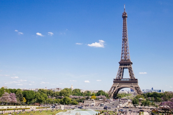 프랑스 성인을 대상으로 실시한 연구. 출처: pixabay