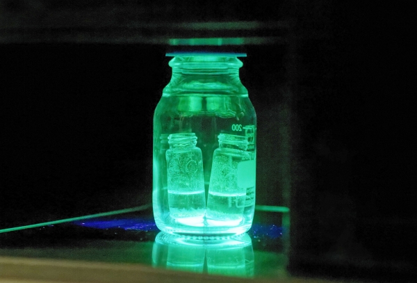 내수성 페로브스카이트의 모습.물속에 담가도 자외선을 쪼이면 발광하는 특성을 유지한다. 출처:UNIST