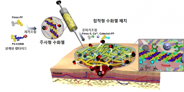 일산화탄소 방출 제어 가능한 주사형 및 접착형 수화젤 패치 치료제 제조법. 출처: 한국연구재단