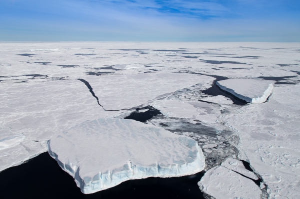 유독 빠른 북극 지역 온난화, 북극탓? 출처: fotolia