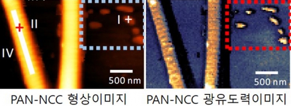 원자힘현미경(AFM)(왼쪽)과 광유도력 현미경(PiFM)(오른쪽)의 측정결과 비교. 출처: 한국표준과학연구원