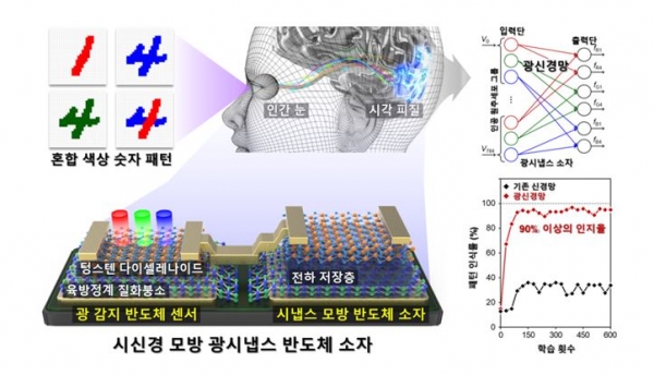 색상과 형태를 동시에 인지할 수 있는 시신경 모방 광시냅스 반도체 소자. 출처: 한국연구재단