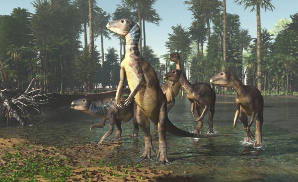 ‘Weewarasaurus pobeni' 공룡. 출처: James Kuether/University of New England