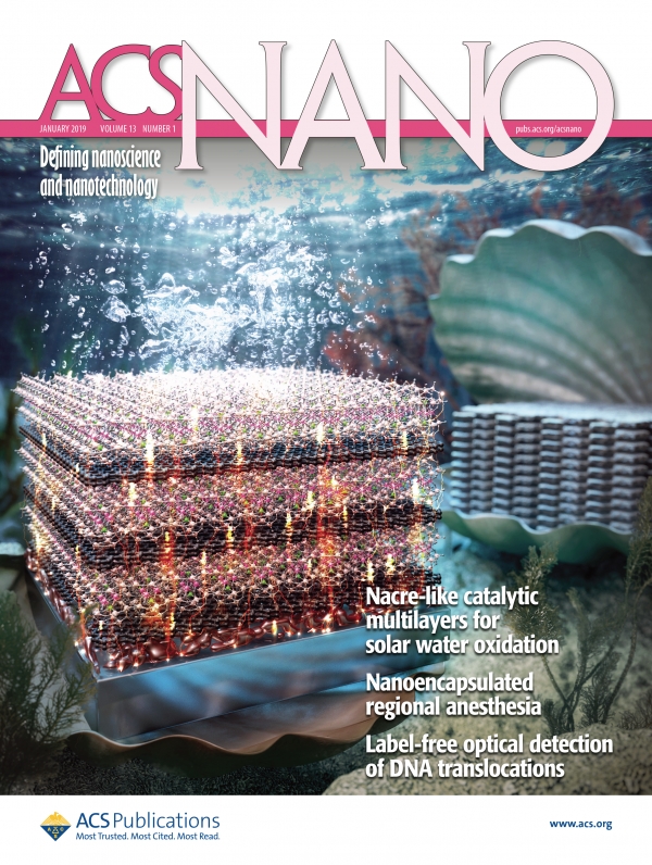 국제학술지 ACS Nano 표지논문(front cover)으로 선정. 출처: 한국연구재단