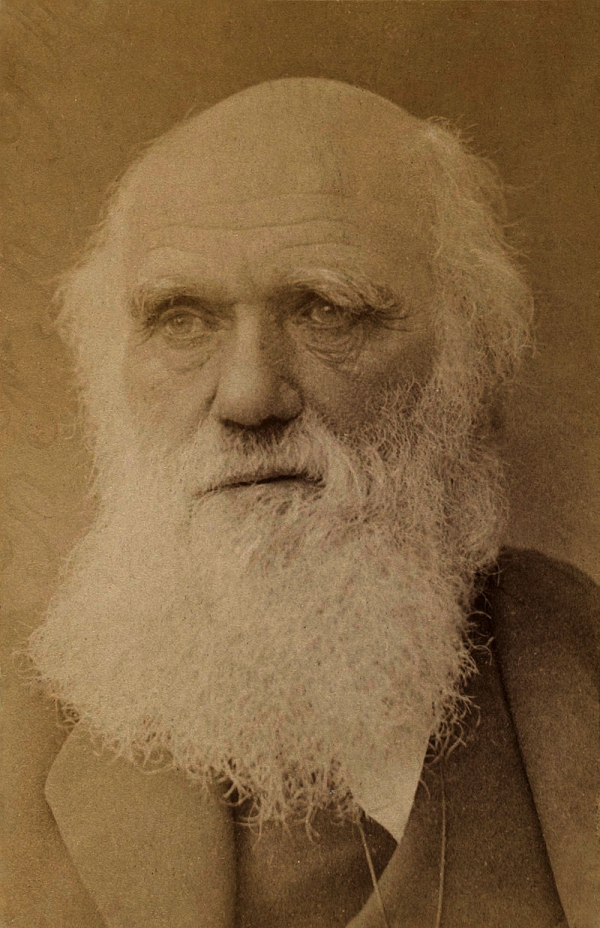 진화론을 주장한 찰스 다윈. 출처:wikimedia commons