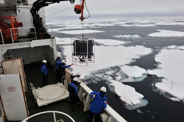 남극 해양에서의 미생물 시료 채취. 출처: 한국연구재단