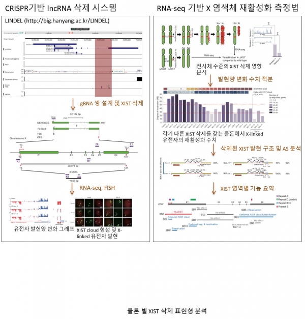 지스트 유전자를 규명하는 실험. 출처: 한국연구재단