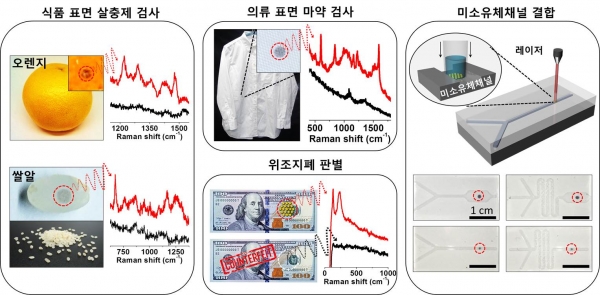 초간편 금속 나노센서를 활용한 고감도 물질검출. 출처: 한국연구재단