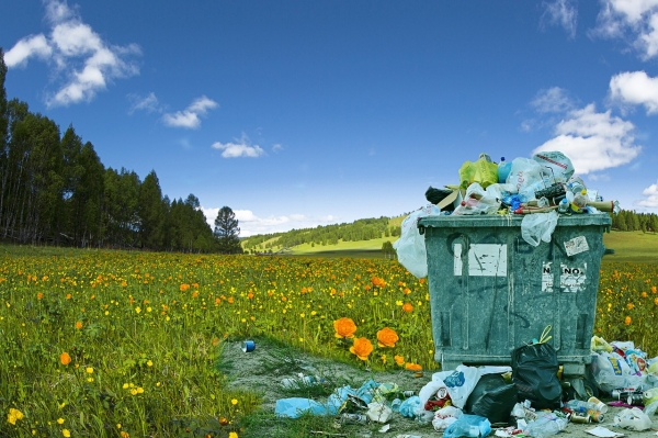 플라스틱은 환경오염의 주 원인 중 하나다. 출처: pixabay