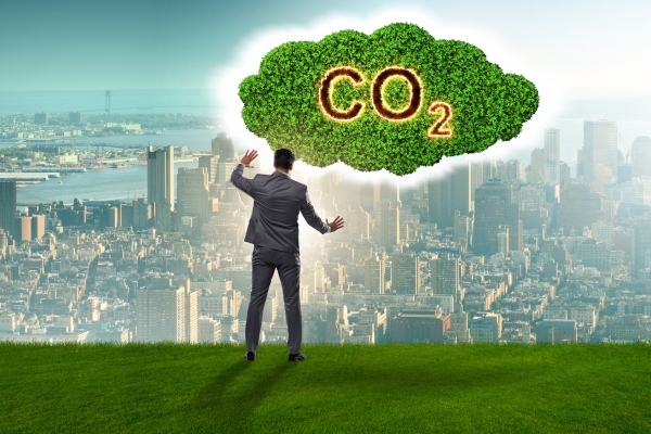 지구촌 식물들은 인간활동으로 배출되는 이산화탄소의 20배 이상 흡수할 수 있습니다. 출처:fotolia