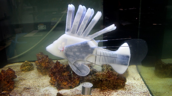 코넬대 연구진이 개발한 로봇 물고기. 출처: Cornell University