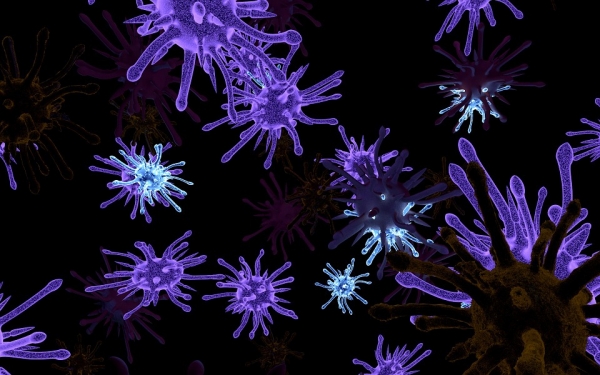바이러스가 암 치료에 도움을 줄 수 있다? 출처: pixabay