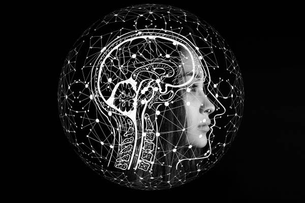 야한 거 보면 뇌 어디가 활성화될까? 출처: pixabay