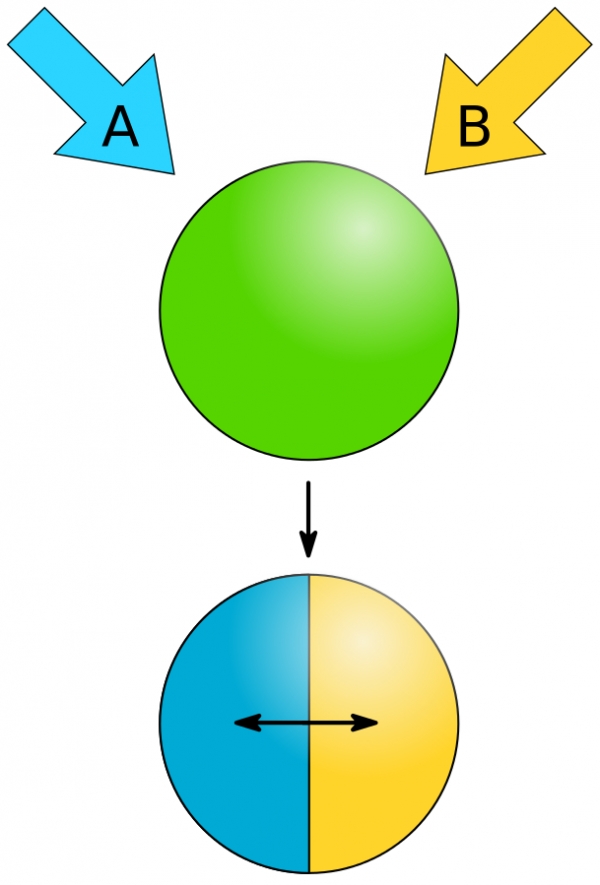 야누스 입자의 대략적인 이미지. 출처: Wikimedia Commons
