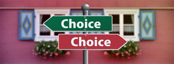둘 다 선택할 수 있다면? 출처: pixabay
