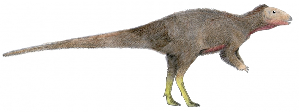 트리니사우라 산타마르타엔시스(Trinisaura santamartaensis). 출처: Levi Bernardo/Wikimedia Commons(CC BY-SA 3.0)
