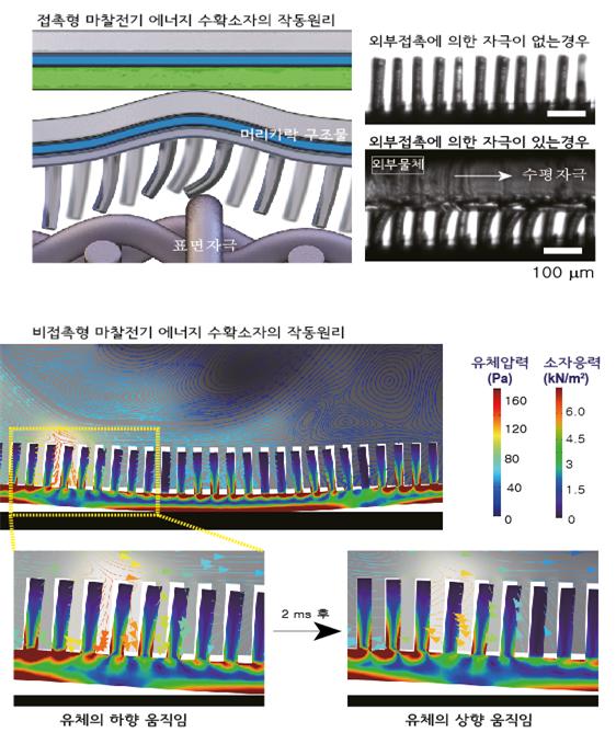 머리카락 구조 마찰전기 에너지 수확 소자의 작동원리. 출처: 한국연구재단
