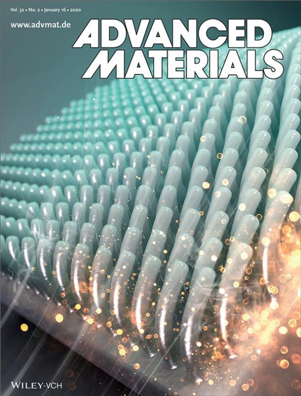 어드밴스드 머터리얼즈 (Advanced Materials) 2월호 표지. 출처: 한국연구재단