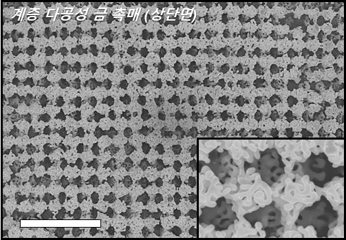 계층 다공성 금 촉매의 상단면 이미지. (스케일 바: 3 μm). 출처: KAIST