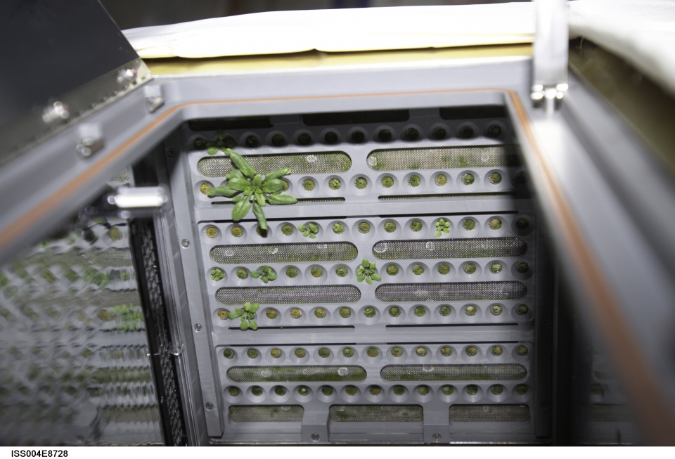 ADVASC 실험용 식물성장 챔버 내부 모습. 출처: NASA