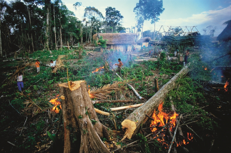 마약 밀매업자들은 군사적 위협 을 피해 보호구역에 숨어들어간 다. 그들은 이곳에 숨어서 활주로, 불법 목장, 농장 등을 만들기 위해 삼림을 훼손한다. 출처: GettyImages