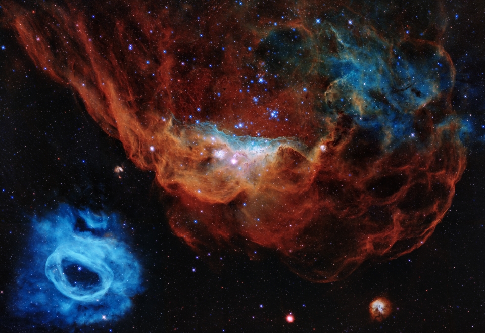 '우주산호초(Cosmic Reef)'. 거대한 적색 성운(NGC 2014)과 그 보다 작은 청색 성운(NGC2020)을 담은 모습. 출처: NASA, ESA and STScI