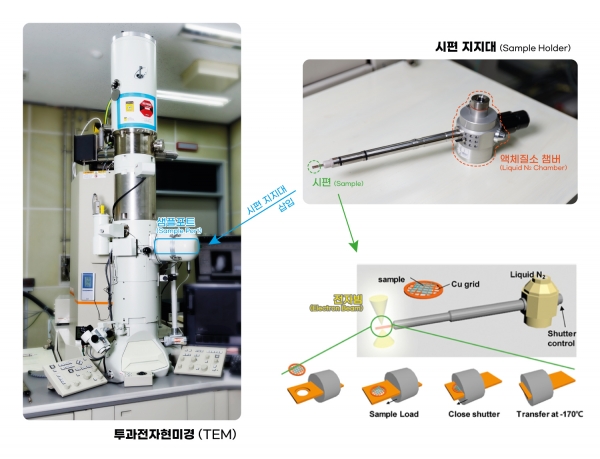 대기 비개방 극저온 투과전자현미경 분석법 시편 준비 과정. 출처: UNIST