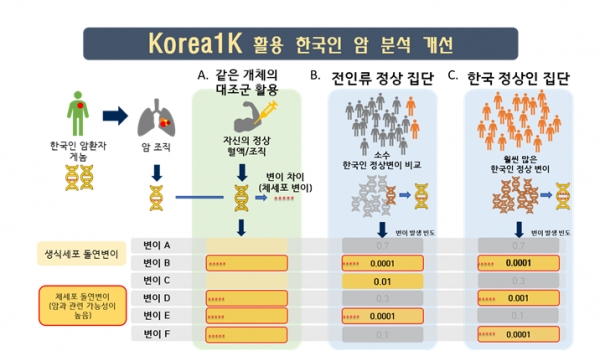 Korea1K (한국인 1천 명 게놈 정보)를 활용한 암 분석 개선. 출처: UNIST