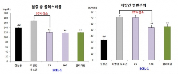 알콜성 지방간 개선 실험결과 그래프. 출처: KIST