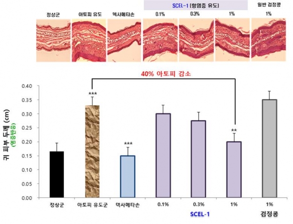 아토피 피부염 개선 실험결과 그래프. 출처: KIST