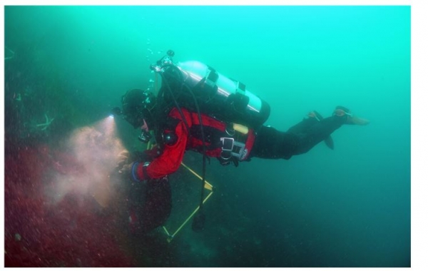 해조류 군집 조사를 위해 과학잠수를 하는 모습. 출처: 극지연구소