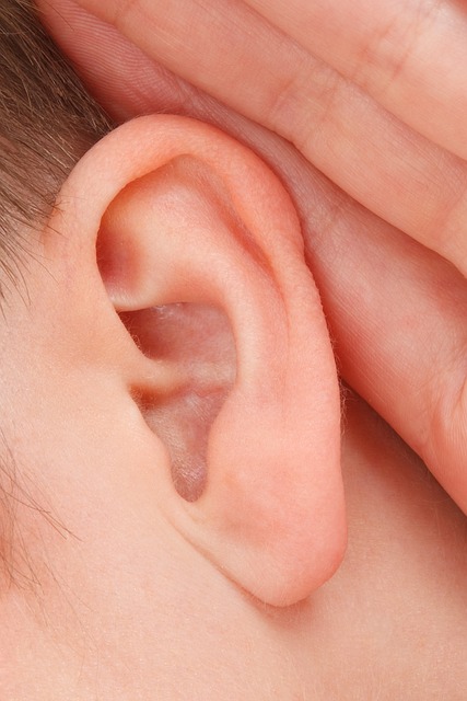 청각신경병증을 조기 치료할 수 있는 길이 열릴 전망입니다. 출처: pixabay