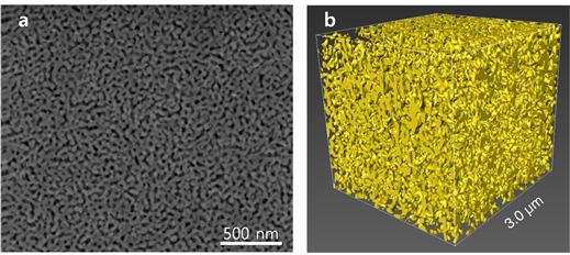 나노다공성 금의 표면 전자현미경(SEM) 이미지(a)와 이를 3차원 재건(b)한 이미지. 출처: UNIST