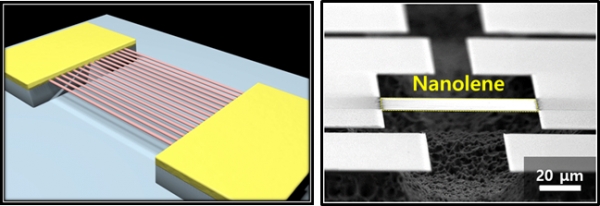 연구진이 개발한 Nanolene의 모식도(왼쪽)와 전자 현미경을 통한 사시도 (오른쪽).  출처: KAIST