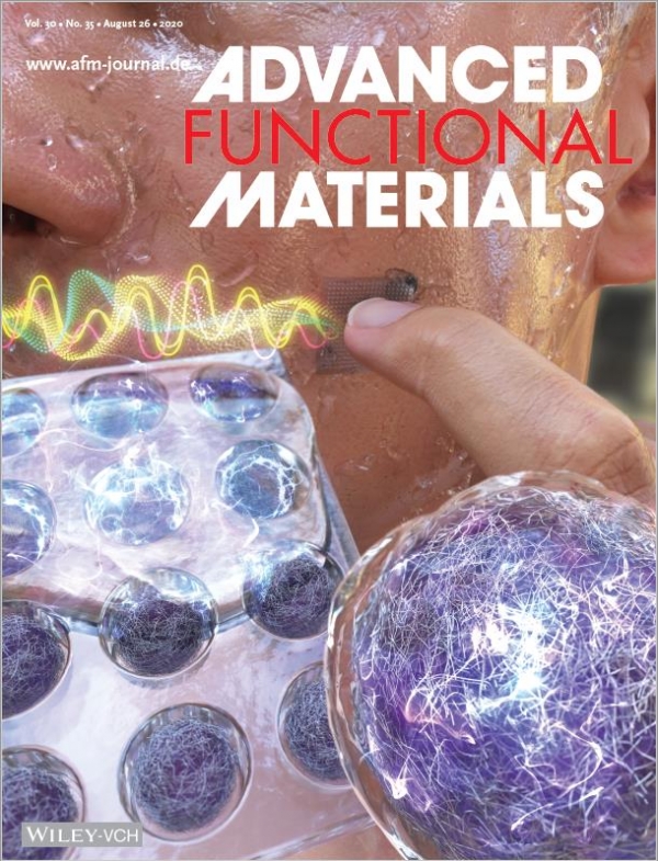 Advanced Functional Materials 표지 논문(2020. 08. 26. Issue 35). 출처: 한국연구재단