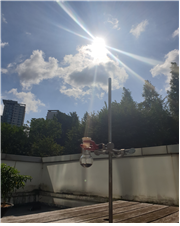 햇빛을 이용하여 카이랄 아미노알콜을 합성하는 모습. 출처: 성균관대학교