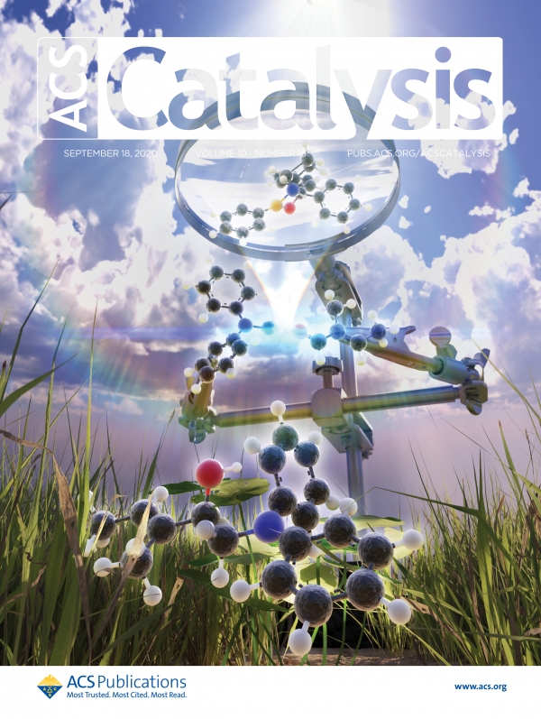 ACS Catalysis에 실린 해당 논문 커버 이미지. 햇빛을 이용하여 광합성을 하는 식물처럼 카이랄 아미노알콜 화합물이 알데하이드 화합물과 아민 라디칼로부터 생성되는 모습. 출처: 성균관대학교