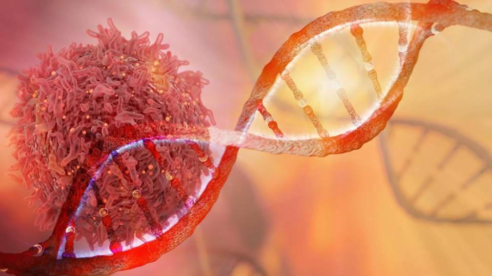 유전자 조절 네트워크를 분석해 대장암세포의 정상 대장세포로 변환하는데 필요한 핵심 인자를 규명. 출처: AdobeStock