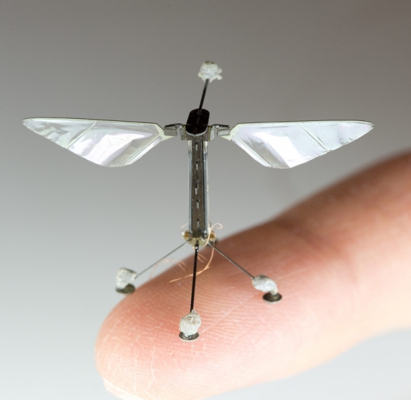 벌처럼 날아라 로버비~ 출처: Wyss Institute at Harvard University
