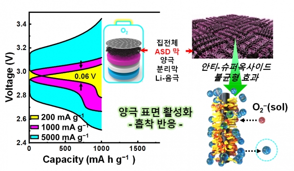 리튬-산소 전지용 고체형 활성산소 정화제의 작용 모식도. 출처: 한국연구재단