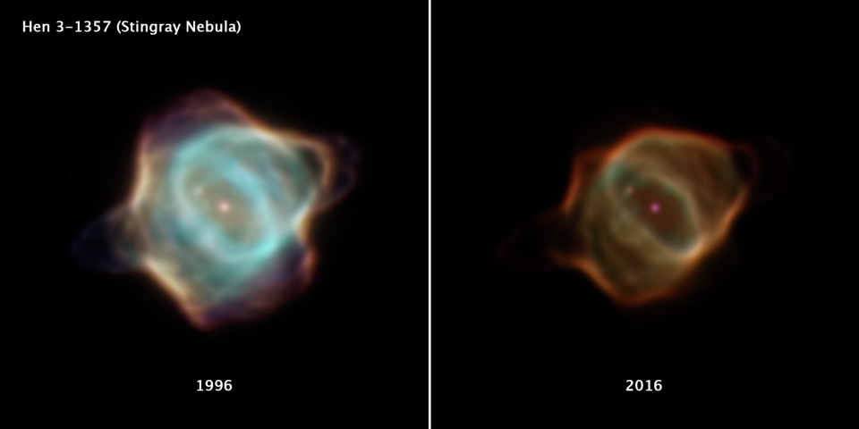 이 사진은 NASA의 허블우주망원경이 20년 간격으로 포착한 가오리 성운을 비교한 것이다. 1996년 3월 광대역카메라(the Wide Field and Planetary Camera 2, WFPC2)로 찍은 왼쪽 이미지는 성운 안에 있는 중심별의 최후 단계를 보여준다. 죽어가는 별이 내뿜는 가스는 2016년 1월 광대역카메라 3을 이용해 포착한 오른쪽 성운의 이미지와 비교하면 훨씬 밝다. 참고로 가오리 성운은 남쪽의 별자리 제단(Altar) 방향에 위치하고 있다. 출처: NASA, ESA, B. Balick (University of Washington), M. Guerrero (Instituto de Astrofísica de Andalucía), and G. Ramos-Larios (Universidad de Guadalajara