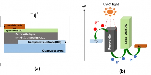 고감도 자외선 (UV-C) 구조 및 동작 원리. 출처: 한국연구재단
